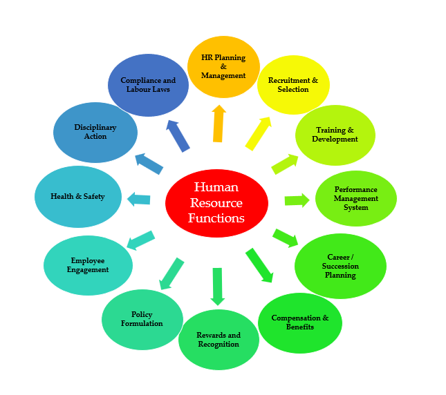 Functions Of Human Resources How The Department Works 